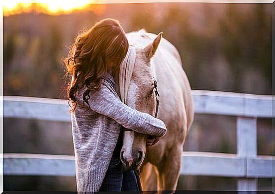 Love-horse-girl