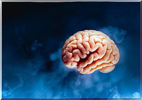 Brain tsunami: what happens in our brain before we die?