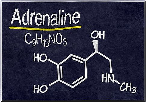 effects of adrenaline rushes on the brain