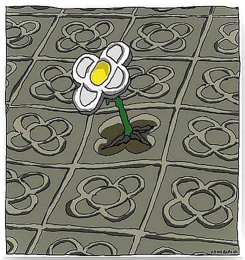 flower in the ground