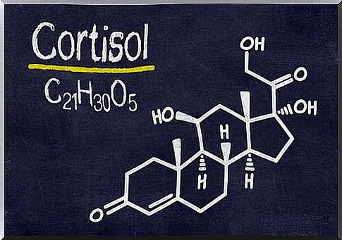 Drink a glass of lukewarm water with lemon in the morning to fight against cortisol